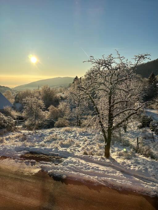 Gite Belle Vue Танненкірш Екстер'єр фото