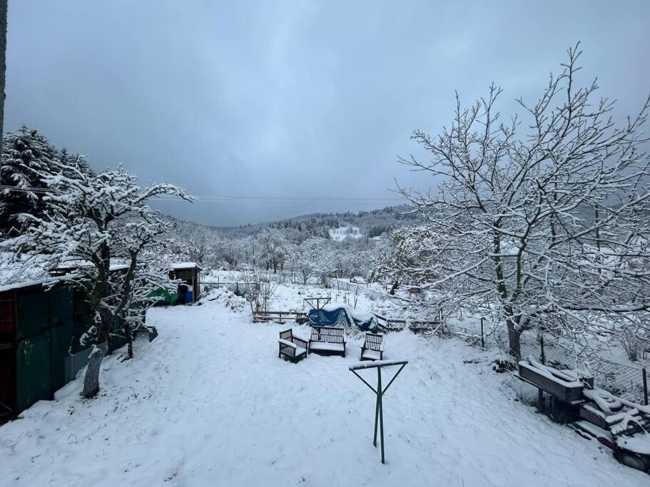 Gite Belle Vue Танненкірш Екстер'єр фото